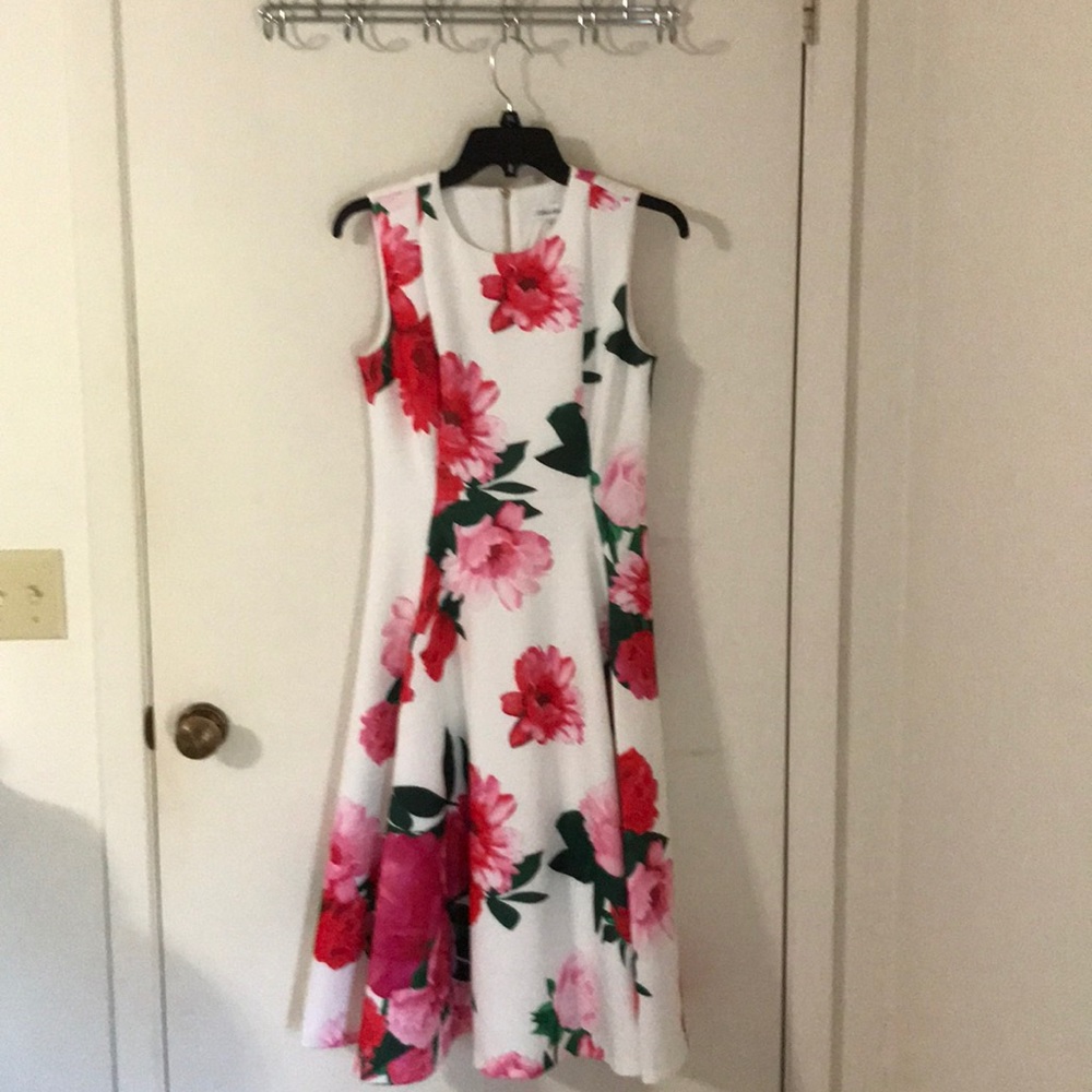 Floral lined dress. Has pockets. Worn once.
